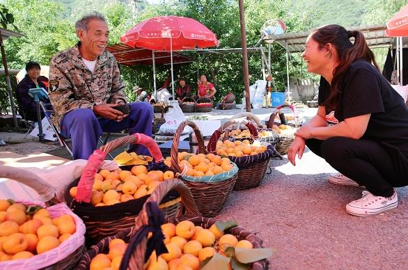 ����ƽ�ȱ�կ���ӳ���������ժ��7�·�