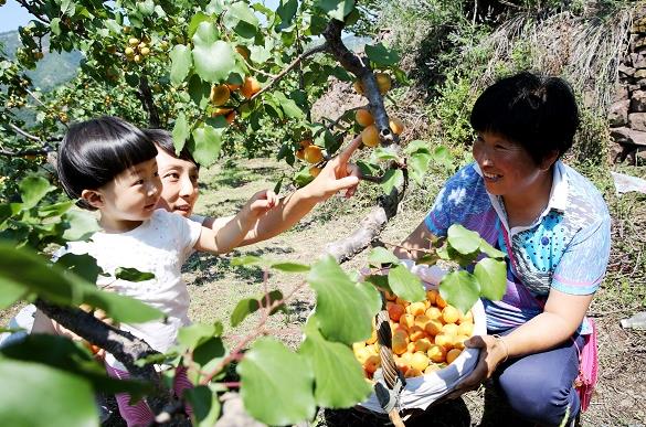 ����ƽ�ȱ�կ���ӳ���������ժ��7�·�