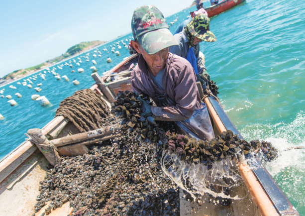 ����ƽ̶������ӭ�����˷��ռ� ���ֵ��3400��Ԫ