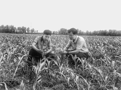 ������������ר��������������