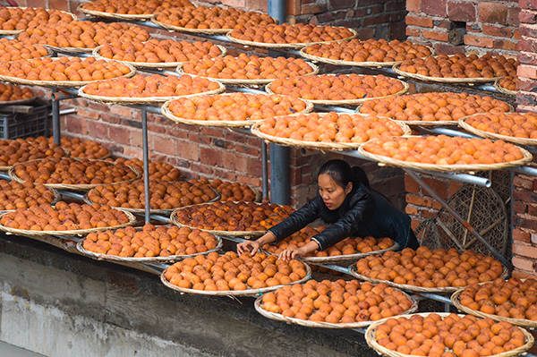 12��17�գ���´������ɹ��������