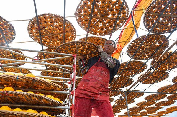 12��17�գ���´�������ݶ���ɹ��������