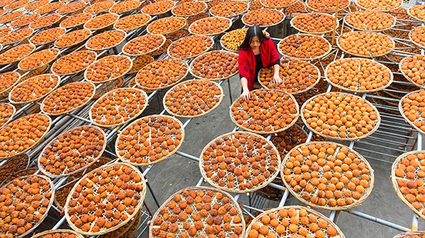 12��17�գ���´�����������ݶ���ɹ��������