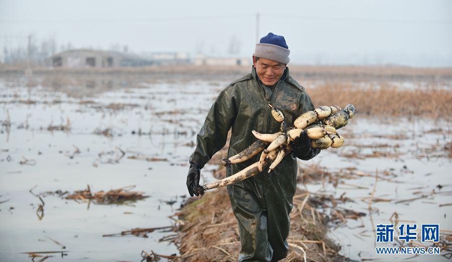 �����������ƺ�̲����źæ