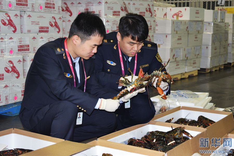 1��9�գ����ϳ��뾳������߾ֹ�����Ա�����ڵļ��ô��ʻʿ����Ϻ��