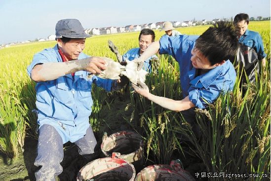 �㽭������ʵ�С������ģʽ�� ��ʵ�׳