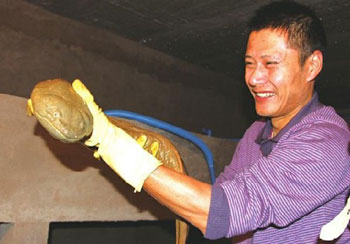 �����ռ����ķ�壺�����ϱ�����������ʳ��������