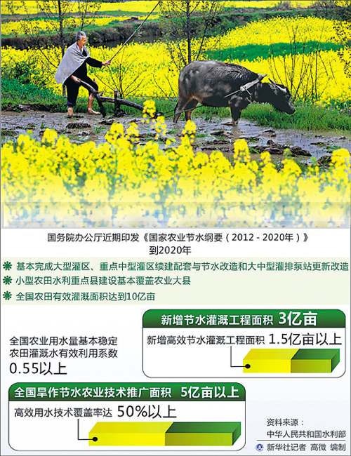 2020��ȫ��ũ����Ч����������10��Ķ