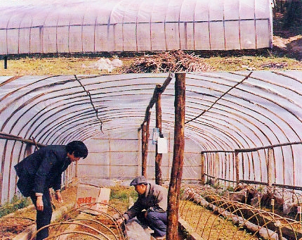 �㽭�Ͱ��أ��������ڵ����� ũ������7����