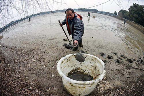 1��7�գ�һ����ֳ����һ��1000��Ķ����ֳˮ����׽�