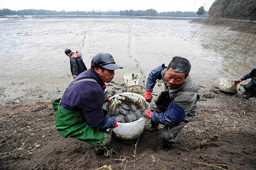 1��7�գ���ֳ���Ѹ�׽��������̬���������С�ڰ빫��Ľ����Ż����ڡ�