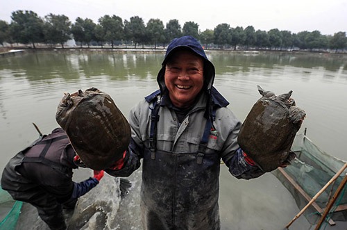 1��7�գ���ֳ����չʾ��ֻ�ո�׽��������̬�����ֻ����1��������̬����������3�����ϡ�