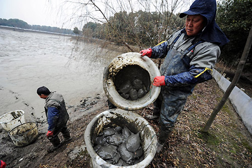 1��7�գ���ֳ���Ѹ�׽��������̬���������С�ڰ빫��Ľ����Ż����ڡ�