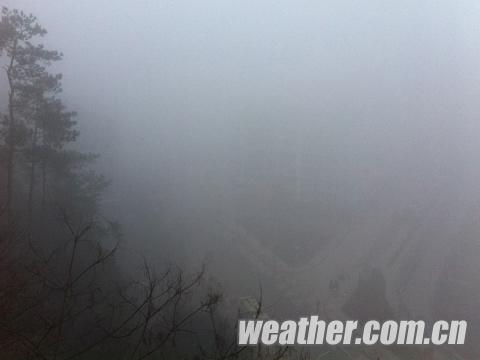 �������ֵ����񳿳���Ũ�� �ֵ��ܼ��Ȳ���100��