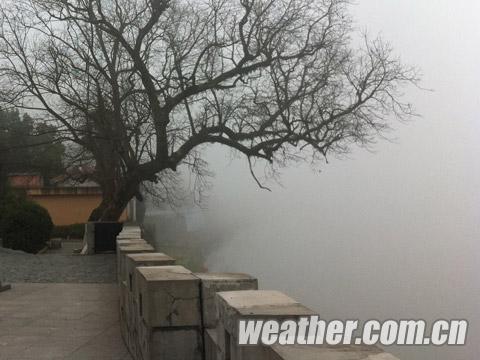 �������ֵ����񳿳���Ũ�� �ֵ��ܼ��Ȳ���100��