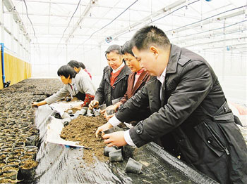 �������������Ҵ壺�ֲˡ����⺺��һ��׬40��