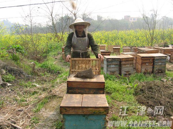 ��������������ũ�������¸�·