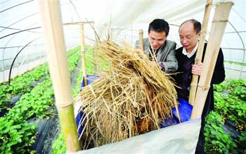 ��������ң���ֲ��ݮ�Ĵ����ڶ�װ��2�������Ķ�����̼����װ��