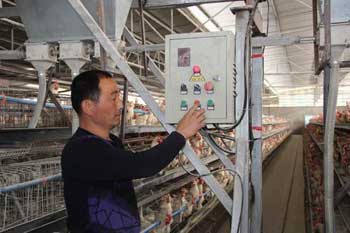 һ��������ֻ�� 5�������ιʳ