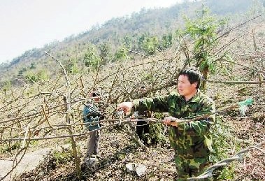 �㽭���ֹ��˹�����ʽ����ũҵ ⨺��Ҳ�ҵ���ж���