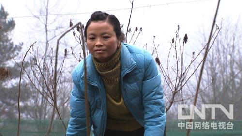 ��������ˮ�����أ��Ӱ���û�׵��¸����ˣ�ͼ1��