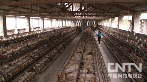 ��������ˮ�����أ��Ӱ���û�׵��¸����ˣ�ͼ2��