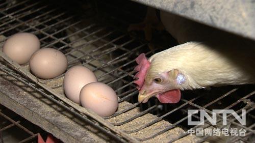 ��������ˮ�����أ��Ӱ���û�׵��¸����ˣ�ͼ3��