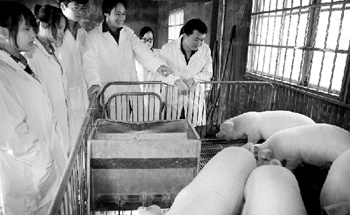 �㽭�𻪣������������ѿ� �����ڵ�80��