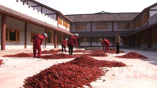 ����ʯ���س�ƺ�壺һ�����������̻� ��Ů�����Ŵ��ԣ�ͼ��1��