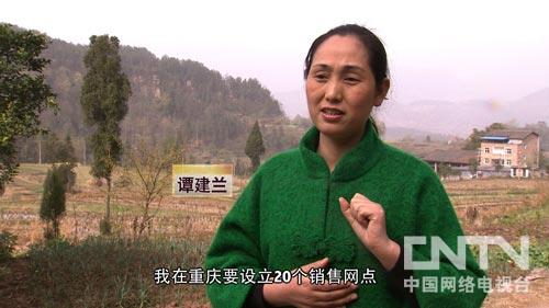 ����ʯ���س�ƺ�壺һ�����������̻� ��Ů�����Ŵ��ԣ�ͼ��2��