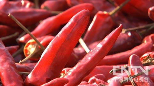 ����ʯ���س�ƺ�壺һ�����������̻� ��Ů�����Ŵ��ԣ�ͼ��3��