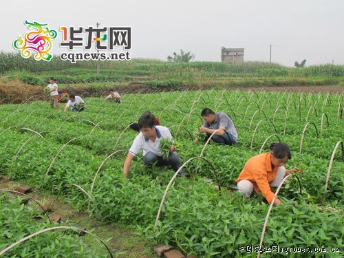 ��������ũ ��١��˵ؾ�𡱴������ʵ���¸���