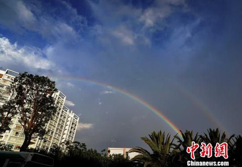 ����������˫�ʺ�������ͼ��