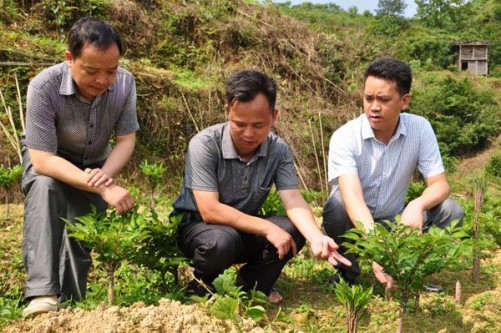 �����Ž���С��� ���ҵ