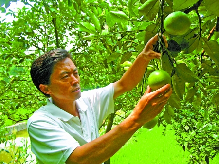 ���Ļԣ������ҵ����Ӫ��������ƽ��һƬ��