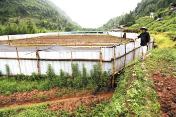 �뽭���ܶ����� ƫƧɽ�帻�˼�