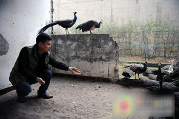 ��ѧ��������ȸ ��ҵ�������Ǿ�