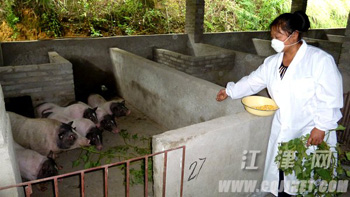 ũ��Ů���������� ��ѩ�쿿��������