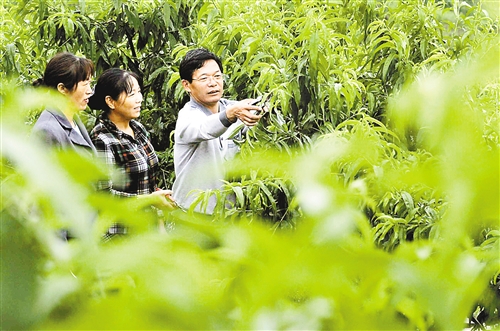 �山�����塰�������Ρ�������̤�¸�·