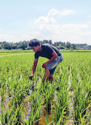 ���90�������ǡ� ����׬��12��