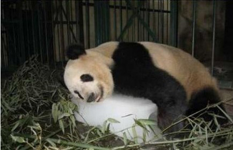 ��ɳ��������39�� �����Դ����ӵ�٩