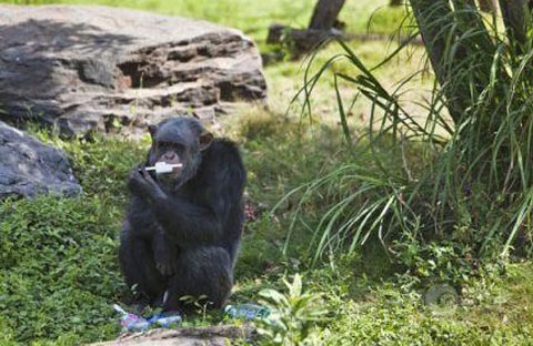 ��ɳ��������39�� �����Դ����ӵ�٩