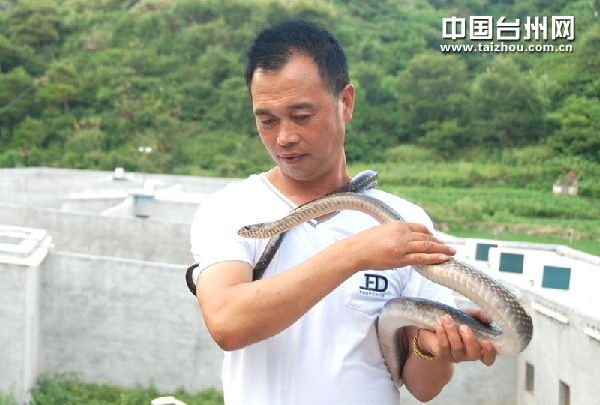 ����ũ����Т�֣����߹����¸�·