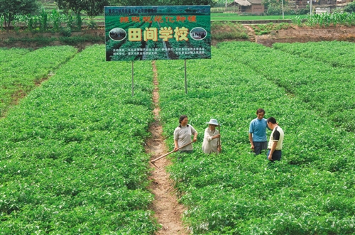 ʯ���������켼����Աָ��ũ�������������