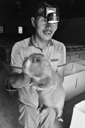 �㽭����������ײ� ͬ������Ƶ��