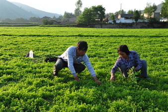 ����崲�����ҩ�ĳ�Ϊ����ǿ��֧����ҵ