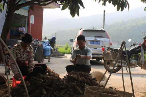 ������������ɰС�����������