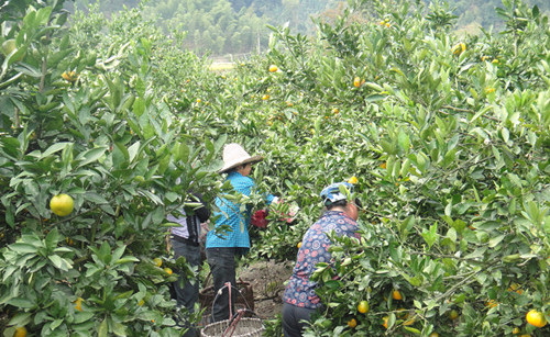 ������Ϫ�����㾰��������