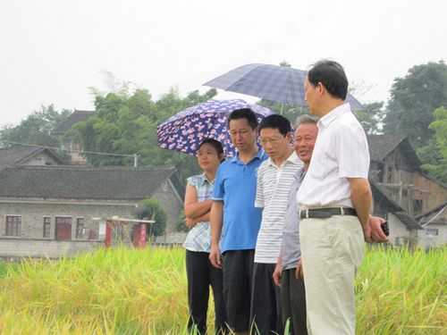 ����ʡ���ʹ���龸�����׹��̻���