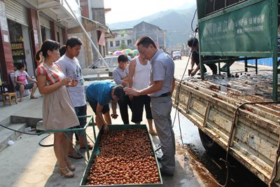 ������ǿ��ũ�����������ƹ�����ѿ��»���